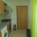 Girassol